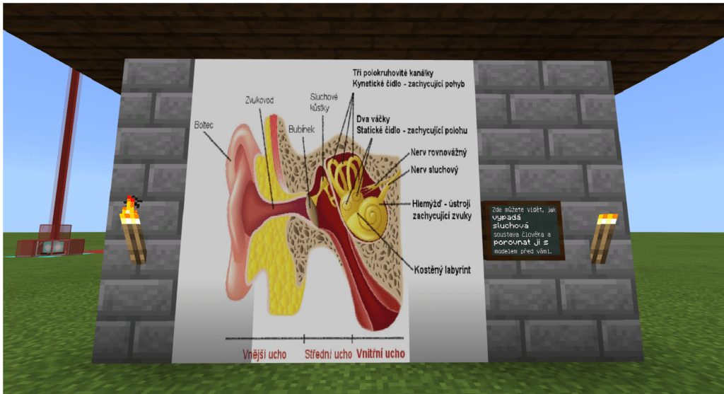 Obrázek lidské sluchové soustavy ve hře minecraft