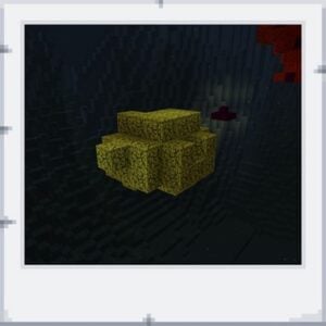 Prostředí Minecraft mapy - pohled na lysozom uvnitř buňky