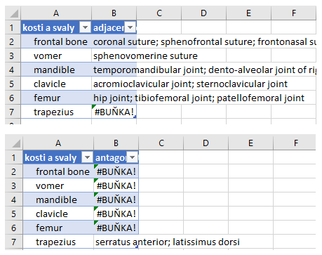 Na snímku jsou dvě excelové tabulky, jedna vypisuje klouby dané kosti, druhá antagonisty zadaného svalu.